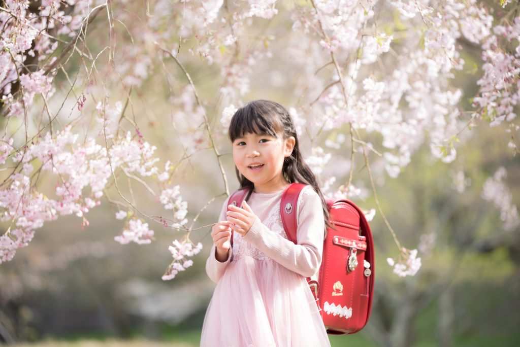 石川県桜の下での入学写真