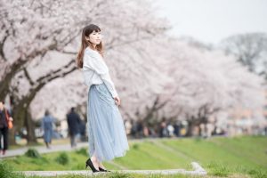 金沢市の桜とプロフィール写真撮影