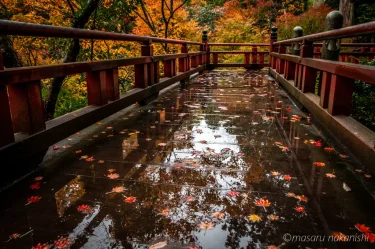 小松・那谷寺はやはり雨の日の紅葉リフレクションがおすすめです。